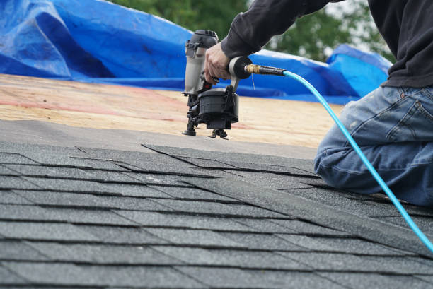 Best Roof Ventilation Installation  in Williams, CA